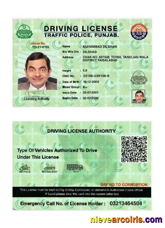 India Punjab driving license 2021-present